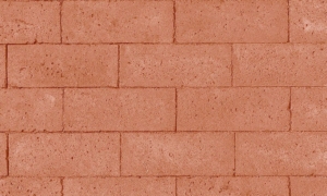 Schellevis Pflastersteine 21x7x8cm Rot Braun