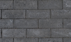 Schellevis Pflastersteine 21x7x8cm Carbon